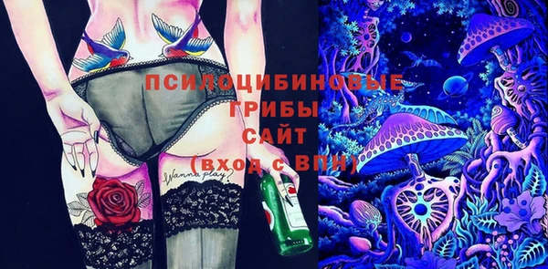меф Богородицк