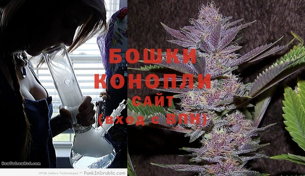 ешки Лиски