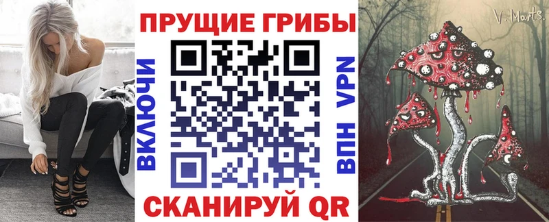МЕГА   Бутурлиновка  Галлюциногенные грибы прущие грибы 